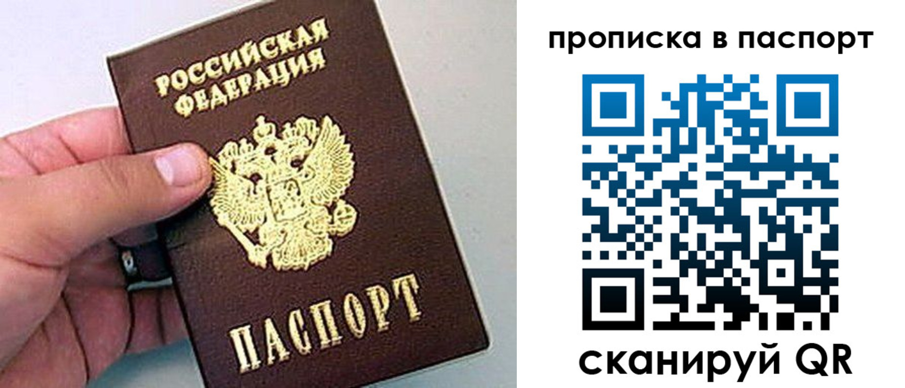 прописка законно в Луге